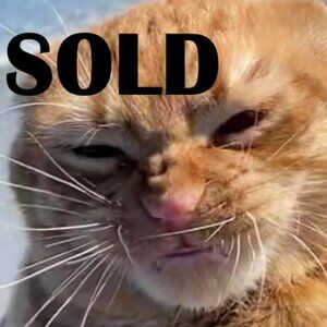 Max Headroom square Coke Coca Cola pin button la nouvelle vague